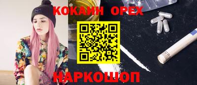 спиды Донской