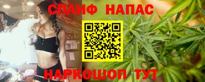 спиды Донской