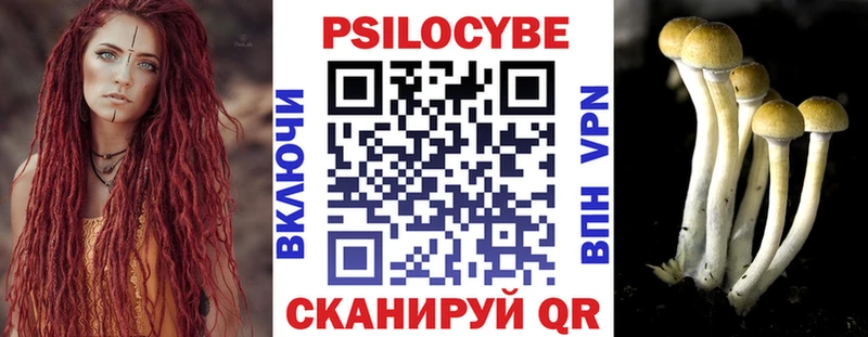 купить   Мичуринск  Галлюциногенные грибы мицелий 