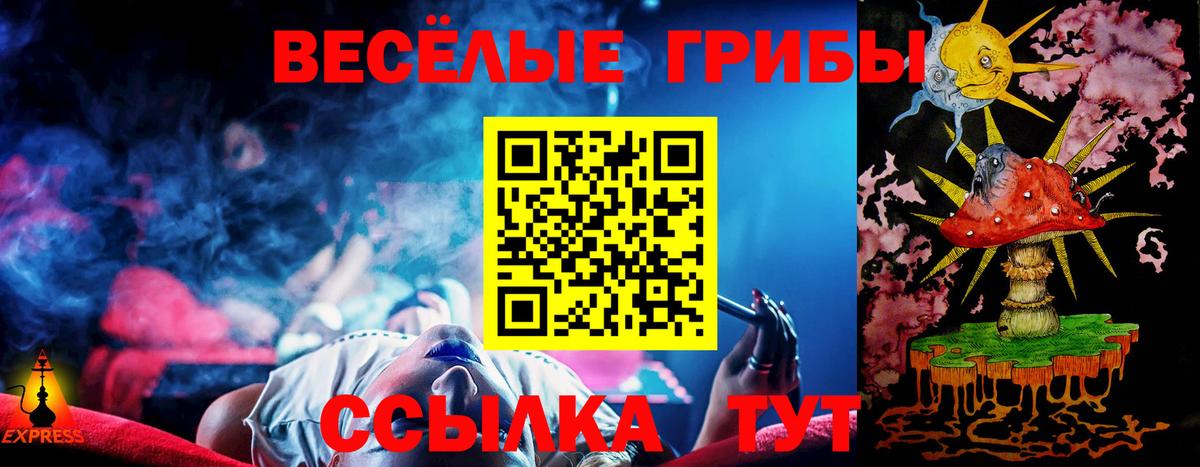 Псилоцибиновые грибы Psilocybine cubensis  Вход с VPN  Мичуринск  как найти закладки  Галлюциногенные грибы MAGIC MUSHROOMS 