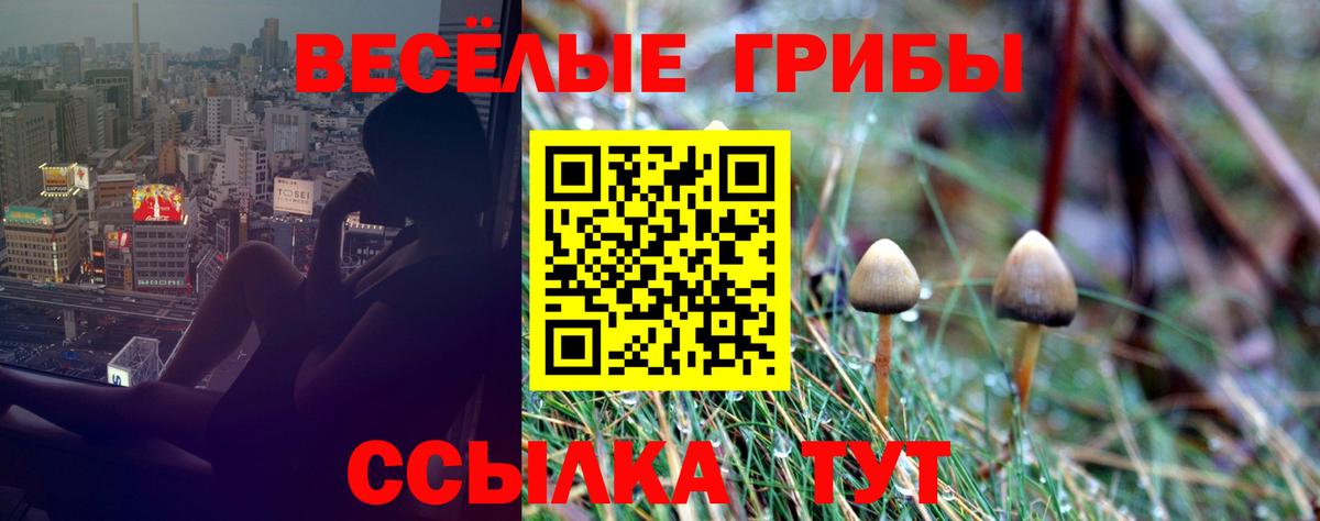 Галлюциногенные грибы ЛСД Мичуринск
